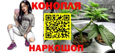 a pvp Дубна