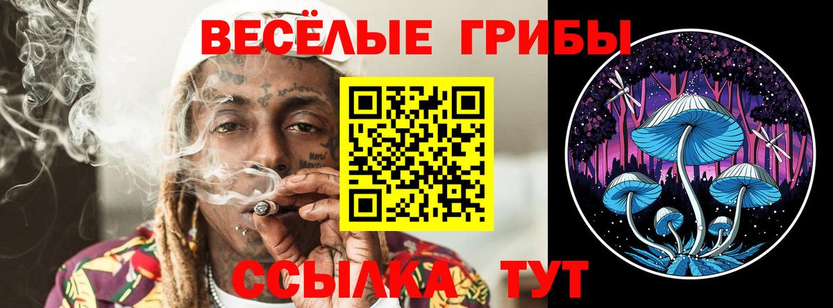 Кыштым  Галлюциногенные грибы прущие грибы  Псилоцибиновые грибы мухоморы  Вход с VPN 